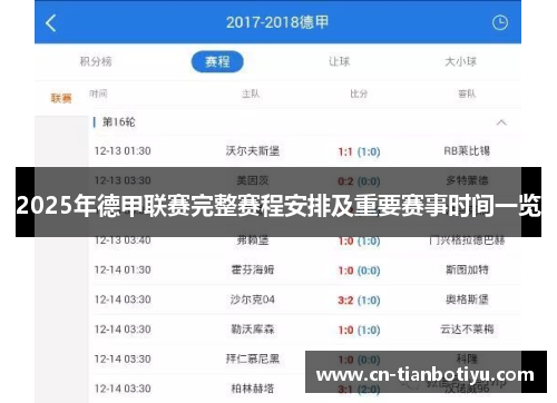 2025年德甲联赛完整赛程安排及重要赛事时间一览