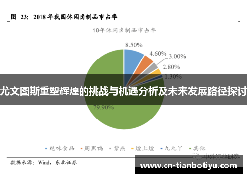 尤文图斯重塑辉煌的挑战与机遇分析及未来发展路径探讨