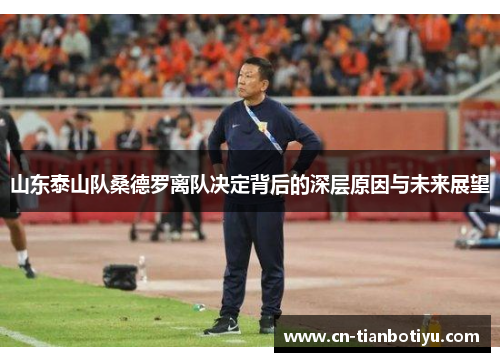 山东泰山队桑德罗离队决定背后的深层原因与未来展望