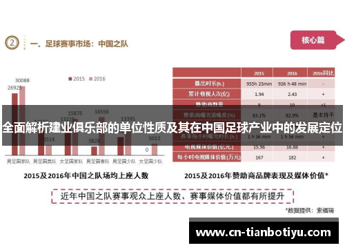 全面解析建业俱乐部的单位性质及其在中国足球产业中的发展定位