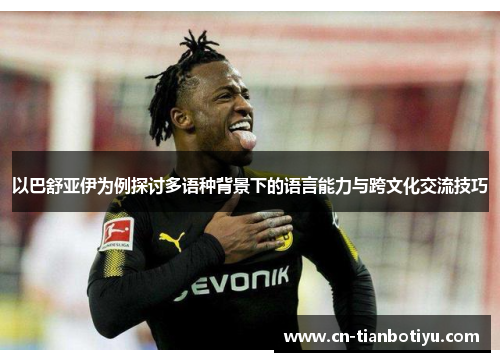 以巴舒亚伊为例探讨多语种背景下的语言能力与跨文化交流技巧 以巴舒亚伊为例探讨多语种背景下的语言能力与跨文化交流技巧